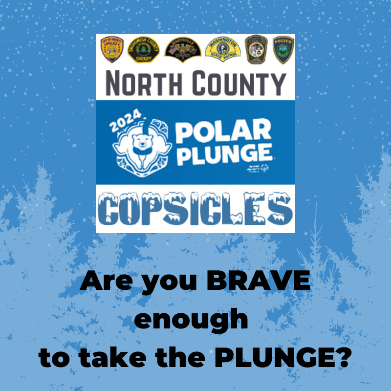 Polar Plunge 2024 event logo