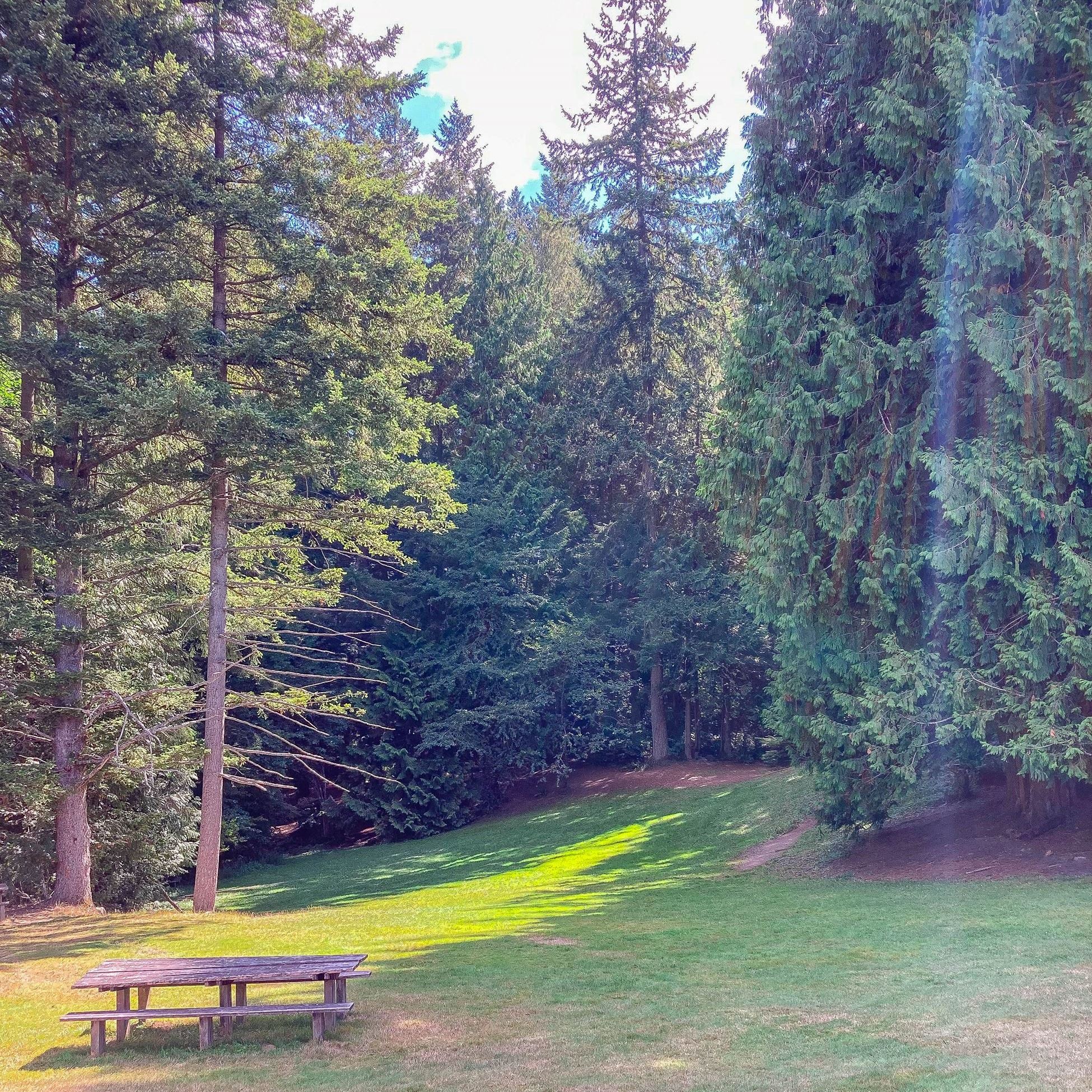 Path and park table in Catherine Creek Park in Lake Stevens, WA