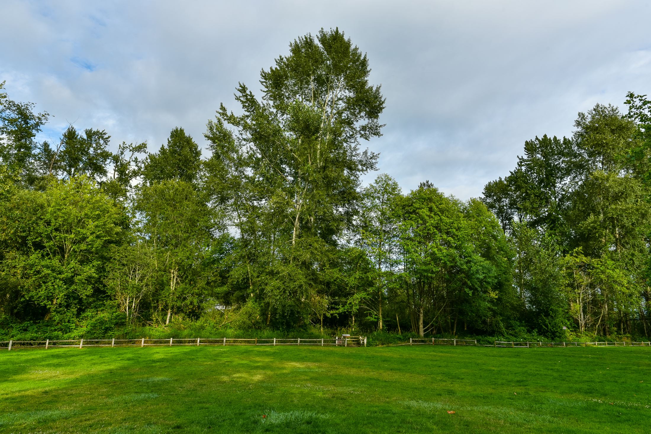 A picture of the lundeen park on a sunny day