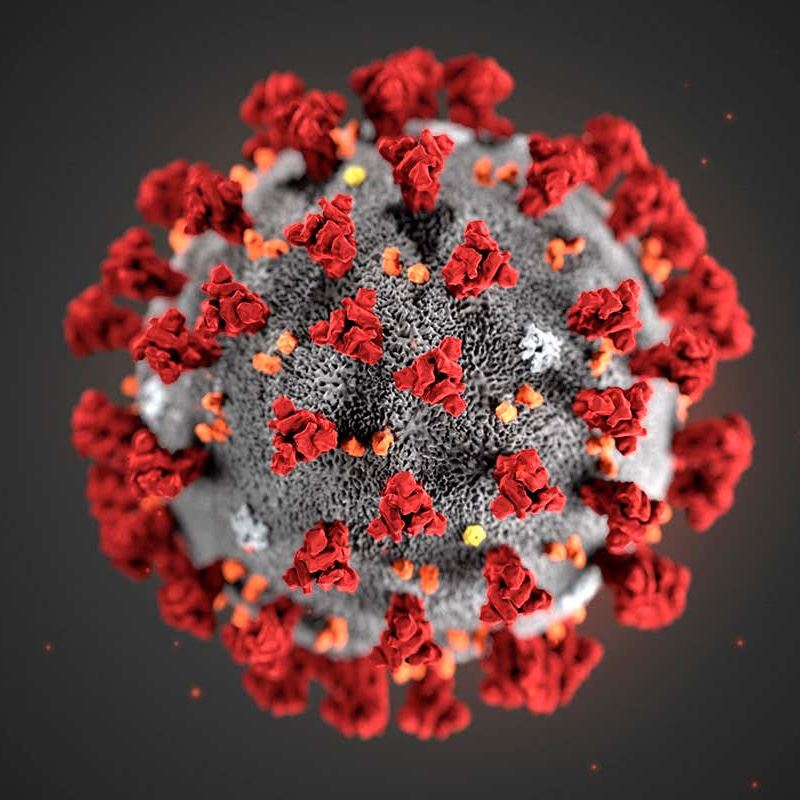 Picture of the Corona Virus