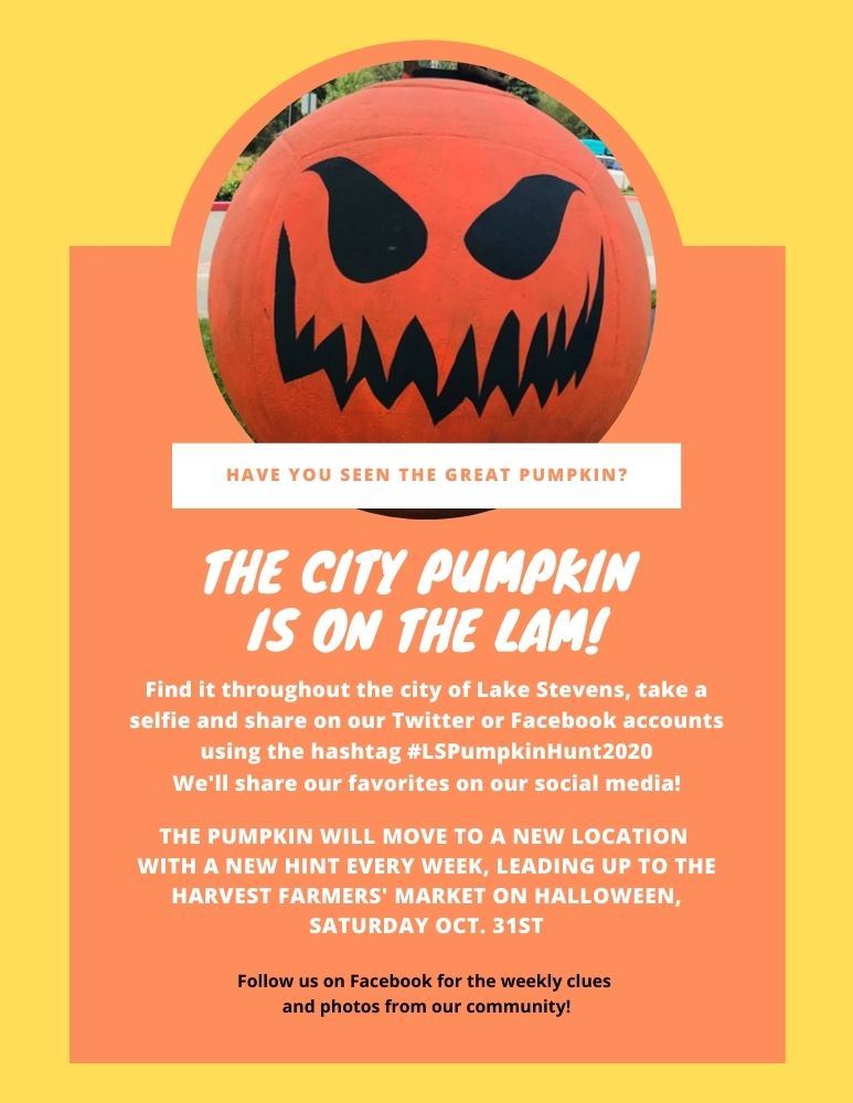 Have you seen this great pumpkin