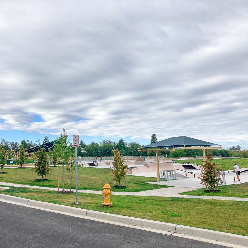 Cavelero Hill Skate Dog Park-14