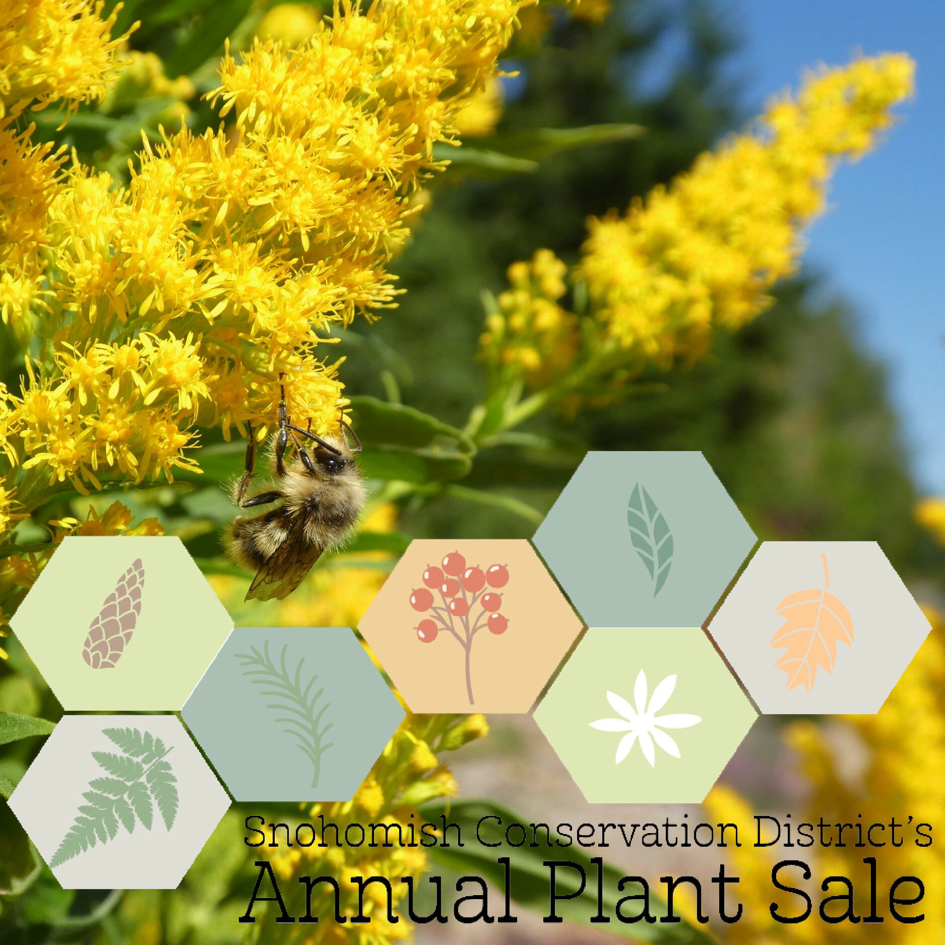 Snohomish Conservation District Annual Plant Sale 2021
