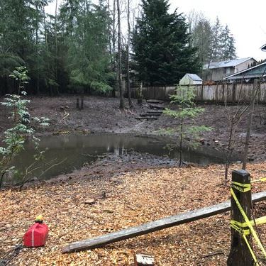 Snohomish Conservation District detention pond