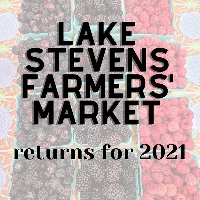 square farmers market graphic