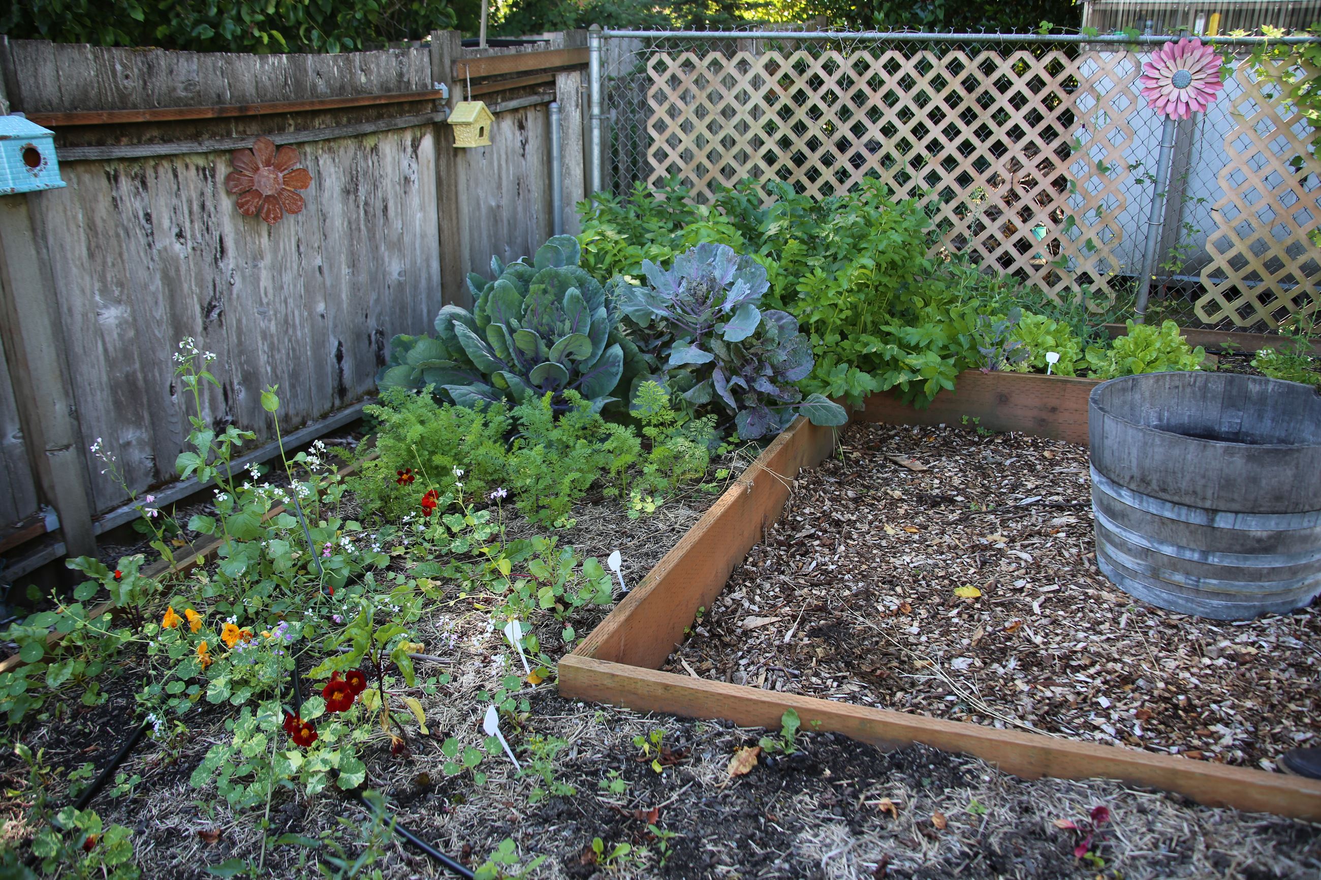 2020 Cascade Award winner's garden