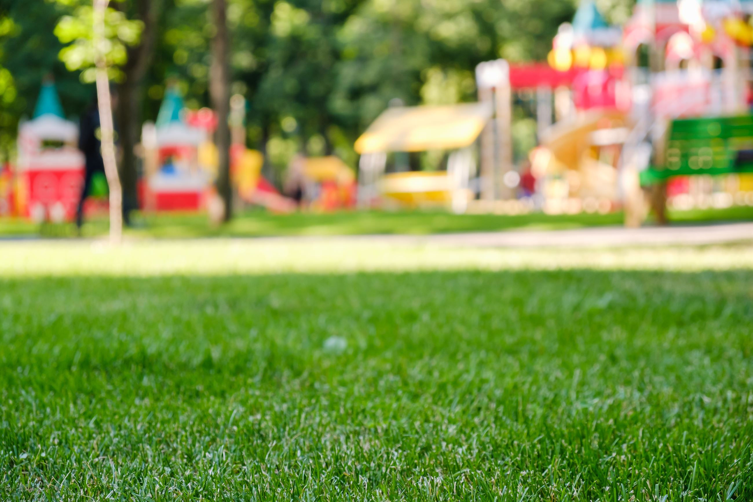 image of playground in background grass area