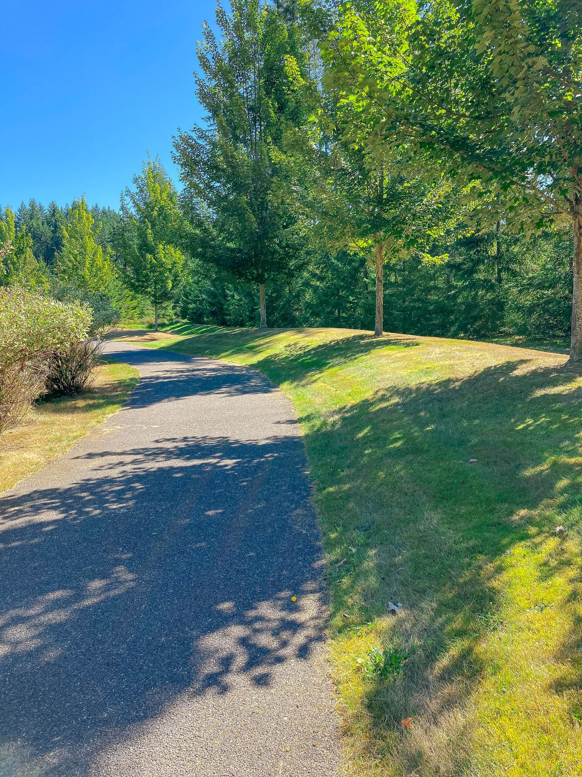 Lake Stevens Community Park trail
