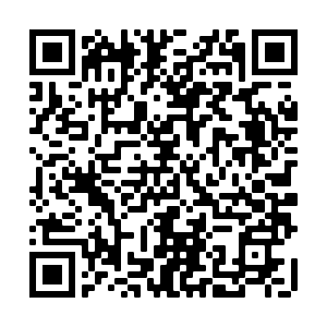 QRcode for Survey