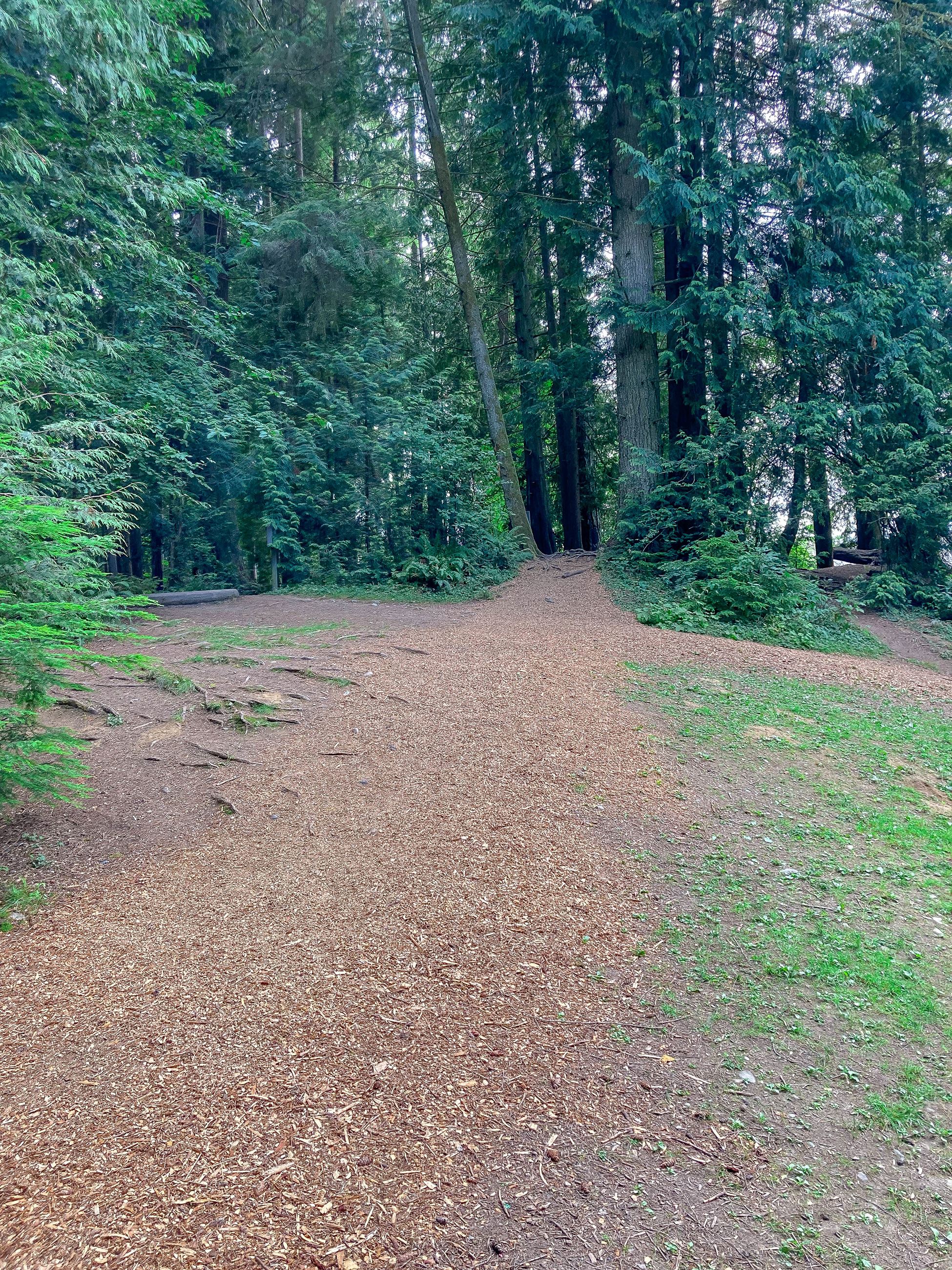 Catherine Creek Park trail