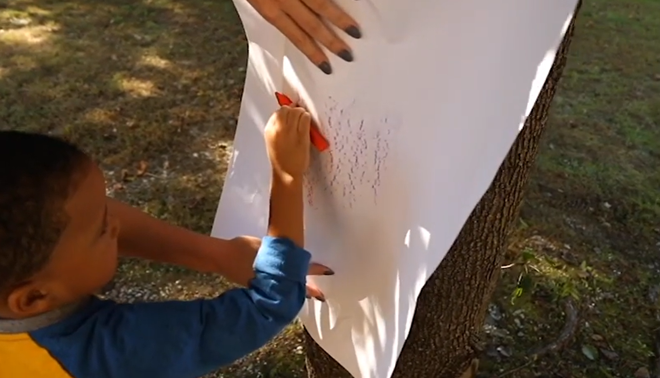 Child rubbing with crayon and paper over tree bark